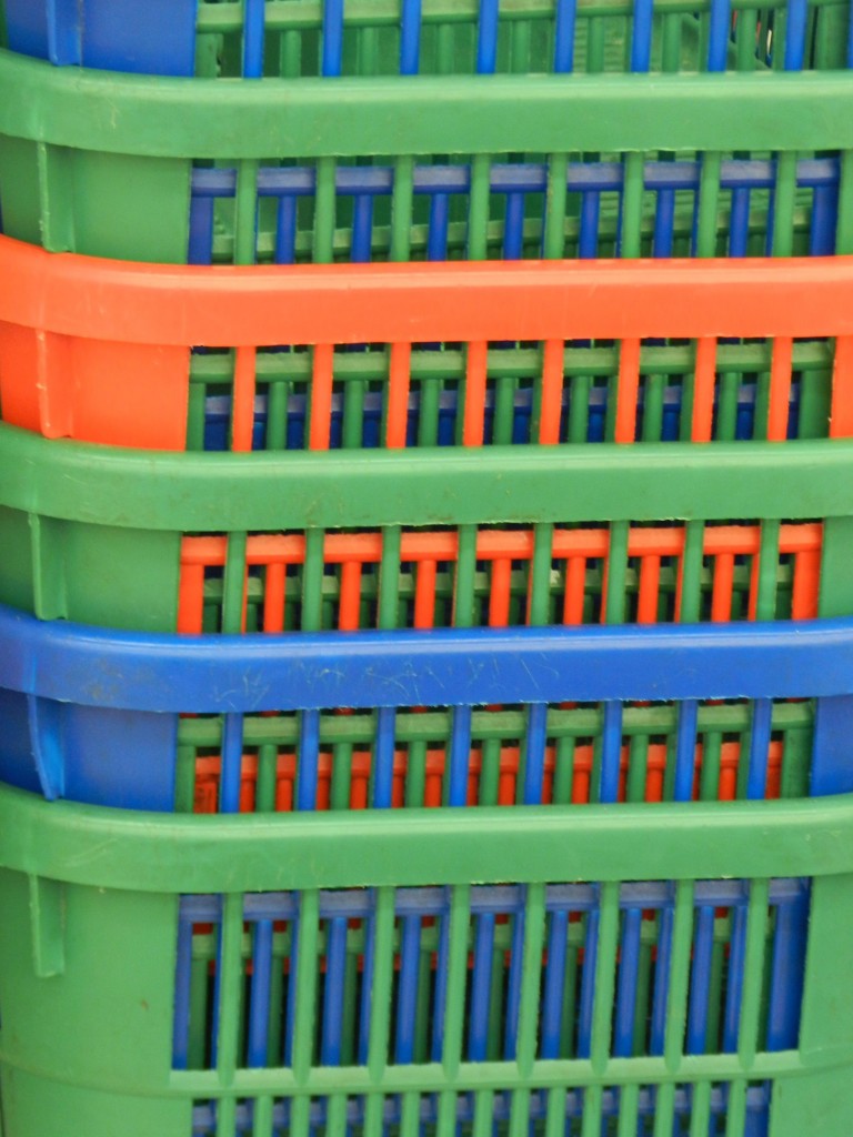 Bins for Task Cards