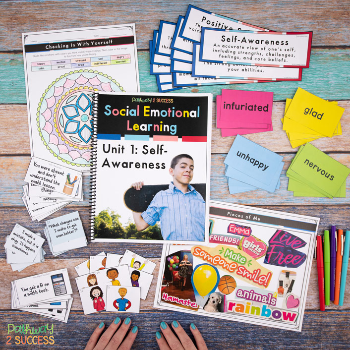 SEL self-awareness unit