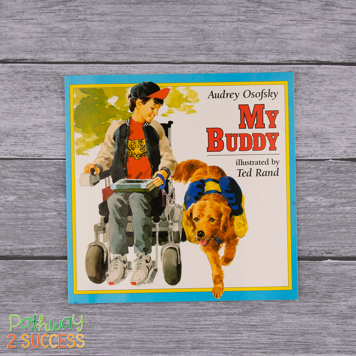 Nine books to help highlight and discuss kids and teens with disabilities, like ADHD, autism, and more. These are perfect for class read alouds and a great way to celebrate diversity! #pathway2success