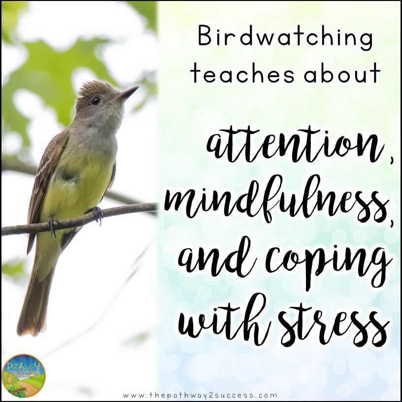 Outdoor activities to help build social skills including patience, attention, conversation skills, responsibility, and much more. Use these activities to help kids work on social emotional learning at home over the summer or anytime of year! #sel #socialskills #pathway2success