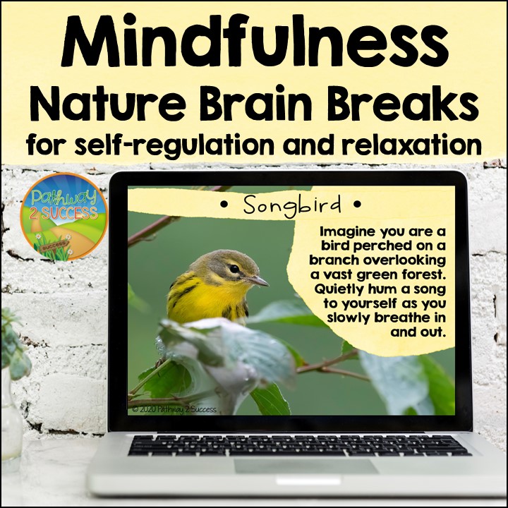 Mindful brain breaks are a helpful tool to help improve focus, encourage self-regulation, and just give a fresh start. Use these mindfulness brain breaks in the classroom or virtually to help students to do their best!