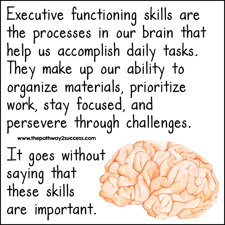 Executive functioning skills are the processes in our brains that help us accomplish daily tasks. They make up our ability to organize materials, prioritize work, stay focused, and persevere through challenges.