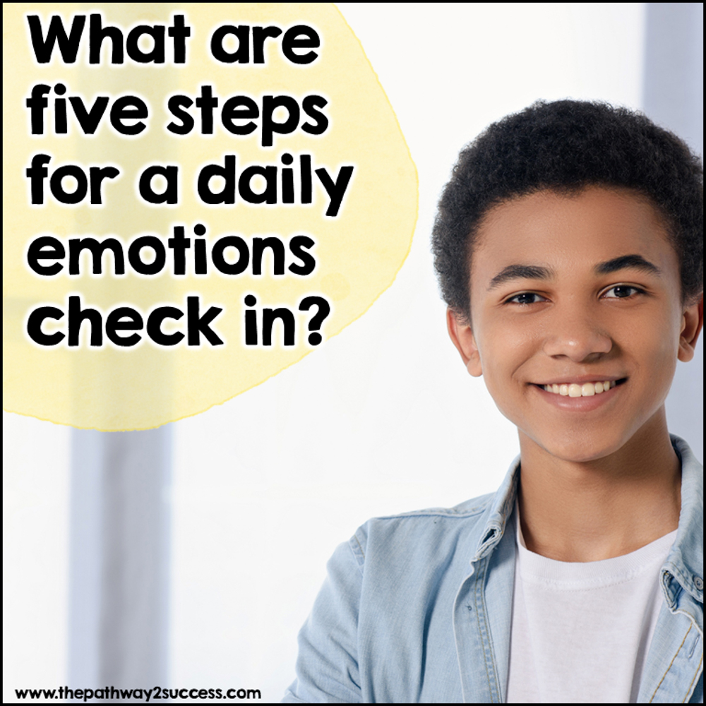 What are five steps for a daily emotions check in?