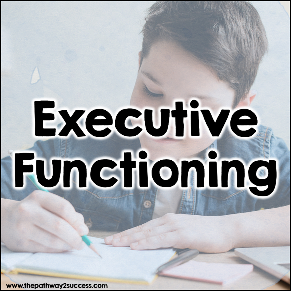 Executive functioning support for families and parents