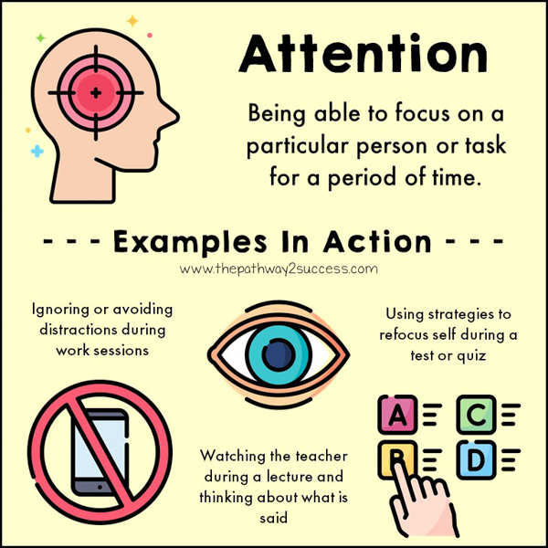Attention examples in action: using strategies to refocus during a test and watching the teacher during a lecture.