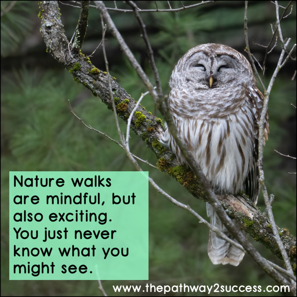 Use nature walks to practice mindfulness and coping skills to manage stress.
