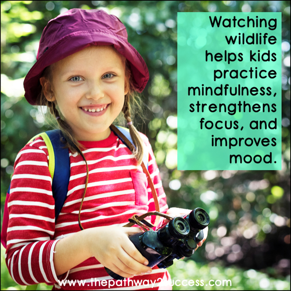Watching wildlife outside helps kids practice mindfulness, strengthens focus, and improves mood.