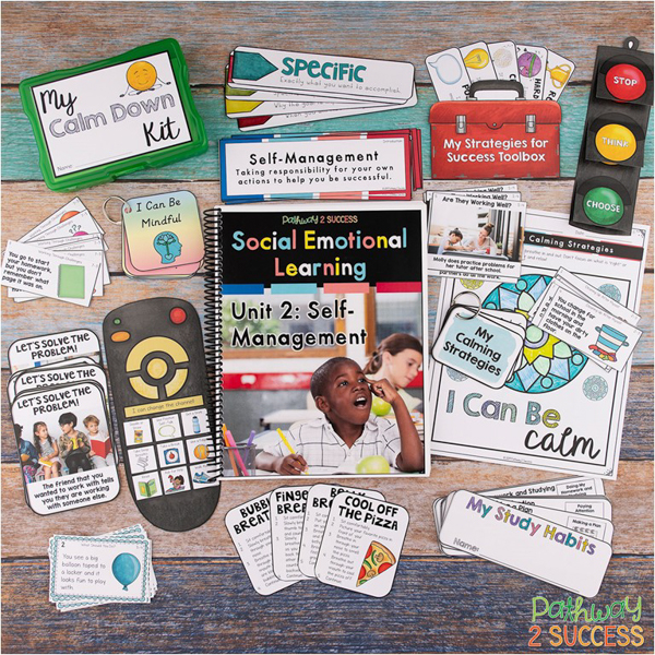 Social emotional learning curriculum for elementary learners