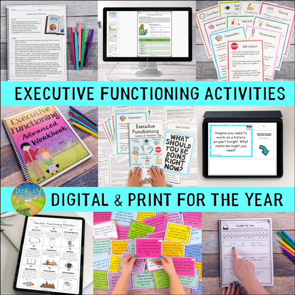 Executive functioning activities for the year