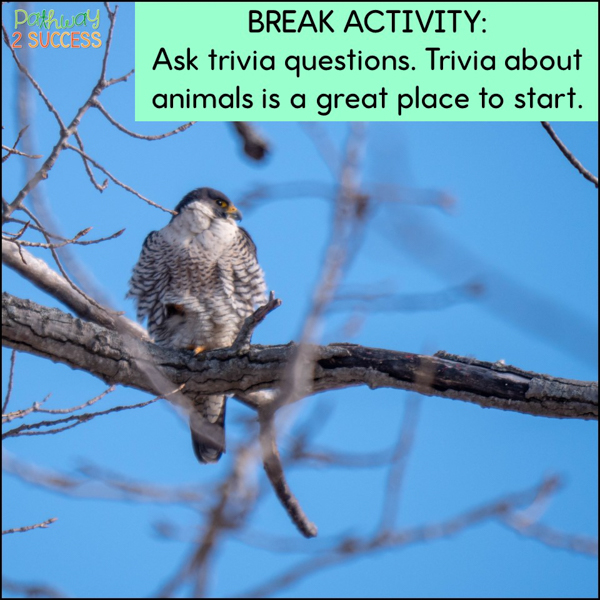 ask trivia questions as a brain break in class