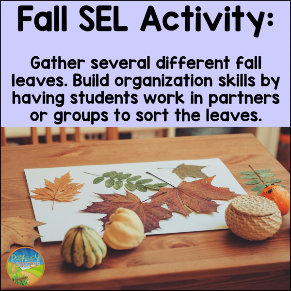 Fall SEL Activity: Gather leaves and organize them