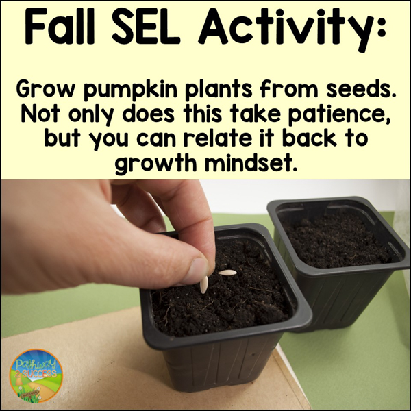 SEL fall activity: grow pumpkins