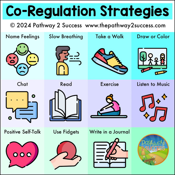 Co-regulation Strategies Visual