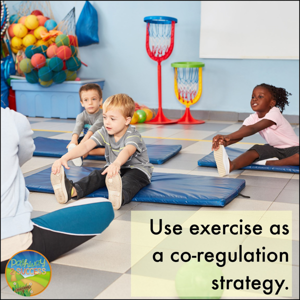 Use exercise as a co-regulation activity.