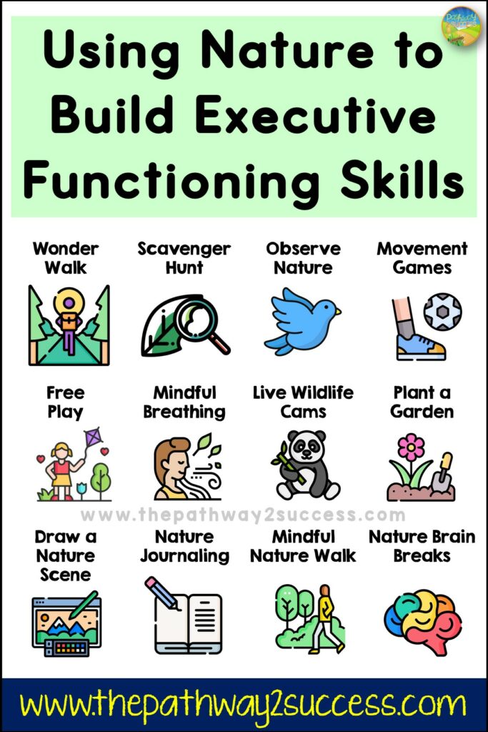 Using nature to build executive functioning skills for kids and teens