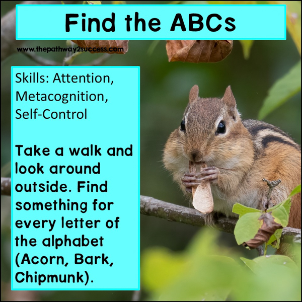 Using Nature to Build Executive Functioning Skills