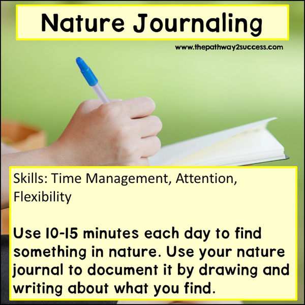 Using Nature to Build Executive Functioning Skills