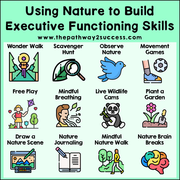 Using Nature to Build Executive Functioning Skills