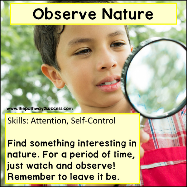 Using Nature to Build Executive Functioning Skills