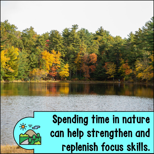 use nature to boost and restore attention skills for kids and teens