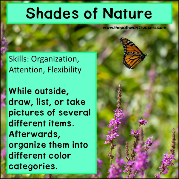 Using Nature to Build Executive Functioning Skills
