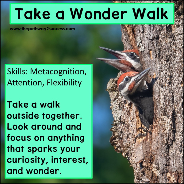 Using Nature to Build Executive Functioning Skills