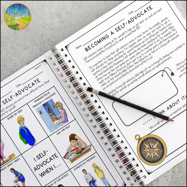 Conflict Resolution Strategies for the Middle and High School Classroom