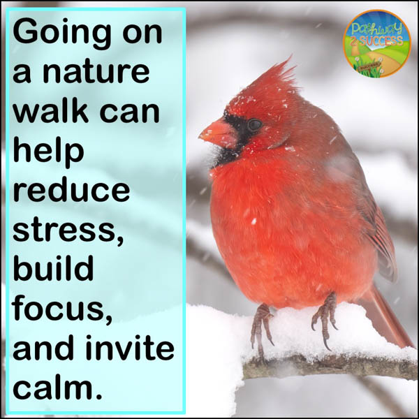 Winter Self-Regulation: 10 Engaging Activities for Kids