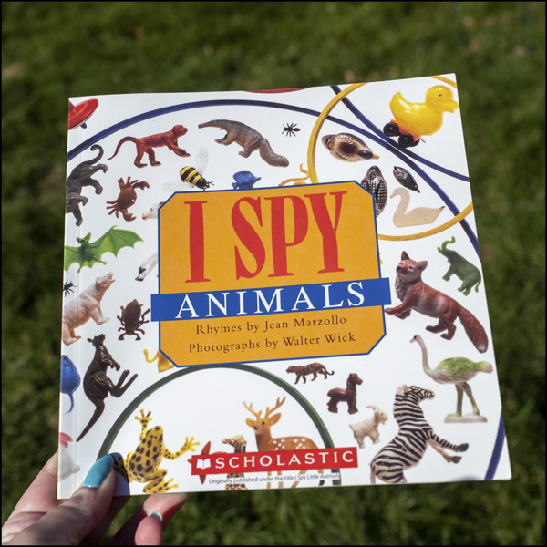 I spy book