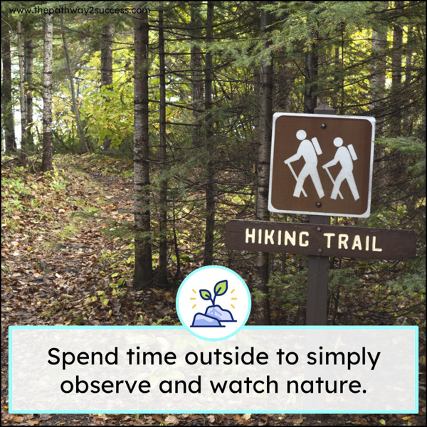 spend time outside to observe and watch nature