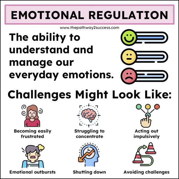 emotional regulation - the impact on behaviors